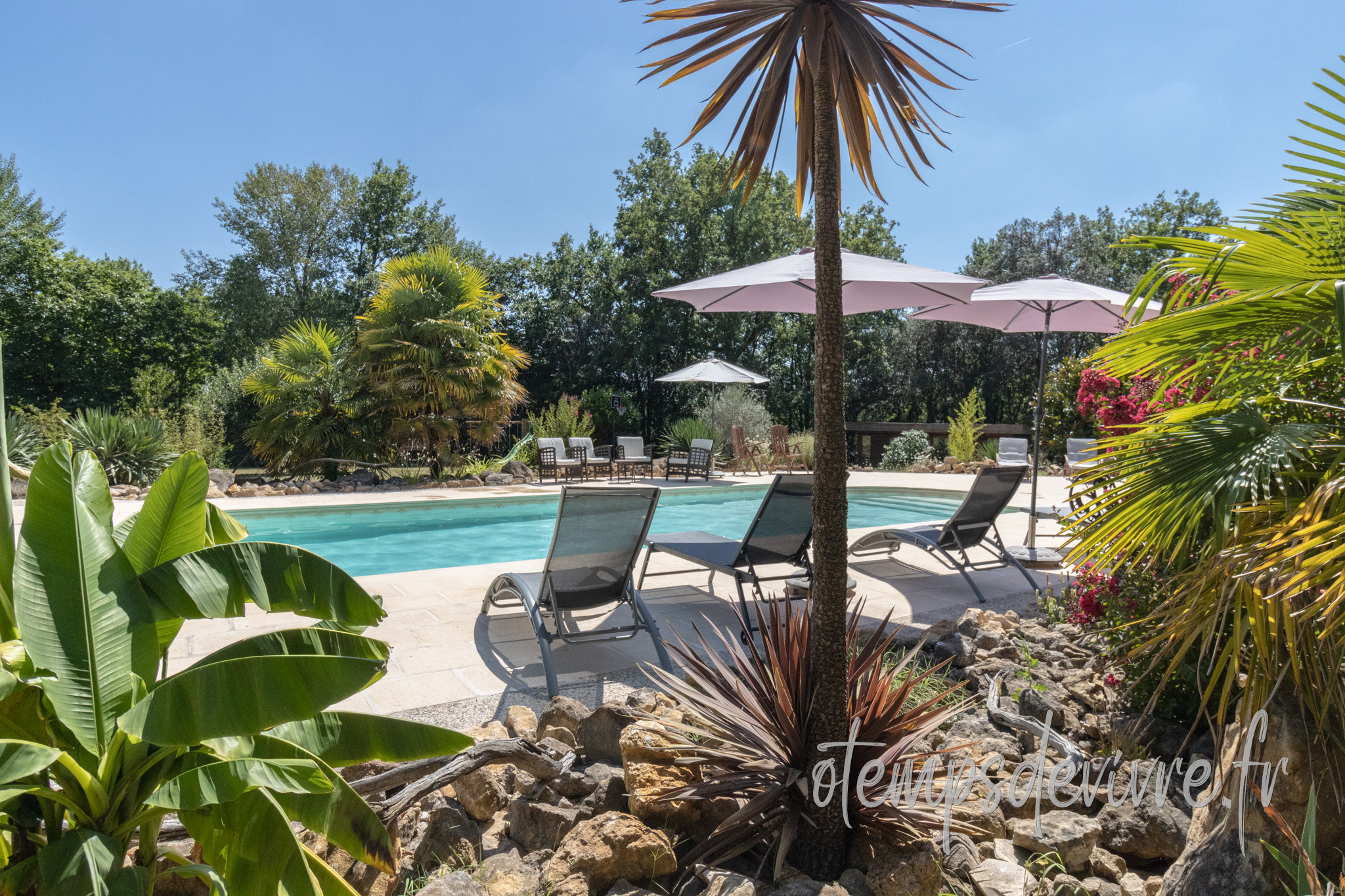 Piscine exotique du gîte O'Temps de Vivre en Périgord Noir